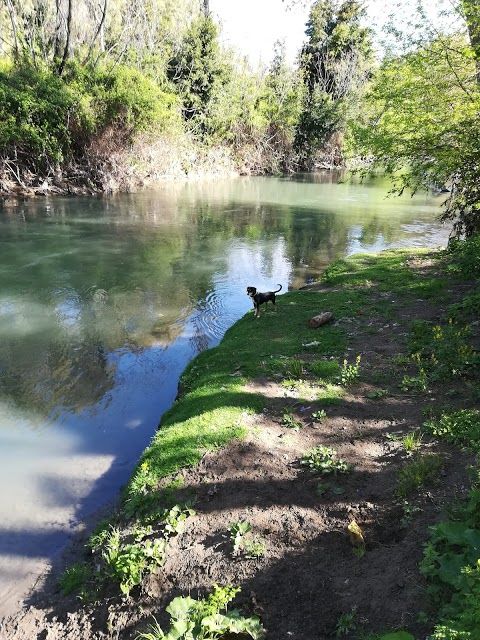 Riserva Naturale Valle dell'Aniene